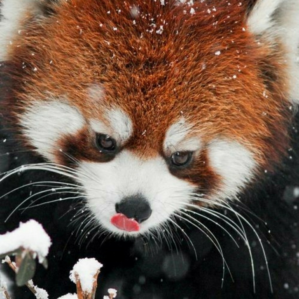 To brighten up your day!💚💛💜🖤